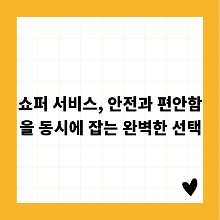 쇼퍼 서비스, 안전과 편안함을 동시에 잡는 완벽한 선택