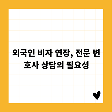 외국인 비자 연장, 전문 변호사 상담의 필요성