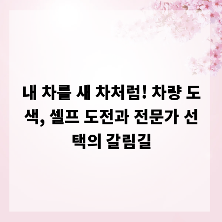 내 차를 새 차처럼! 차량 도색, 셀프 도전과 전문가 선택의 갈림길