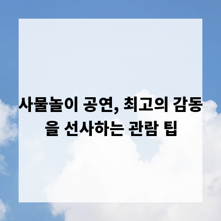 사물놀이 공연, 최고의 감동을 선사하는 관람 팁