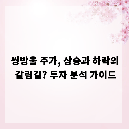 쌍방울 주가, 상승과 하락의 갈림길? 투자 분석 가이드