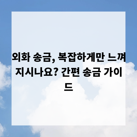외화 송금, 복잡하게만 느껴지시나요? 간편 송금 가이드