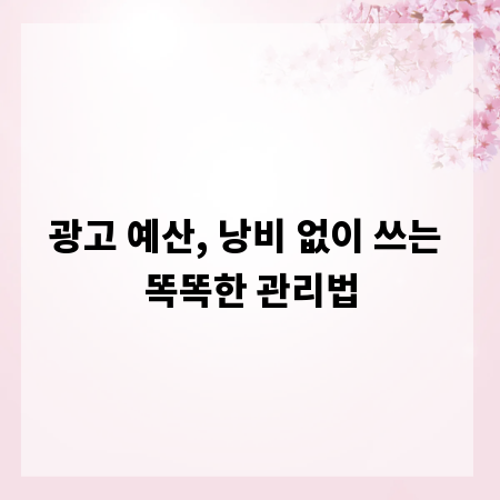 광고 예산, 낭비 없이 쓰는 똑똑한 관리법