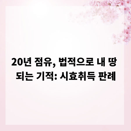 20년 점유, 법적으로 내 땅 되는 기적: 시효취득 판례