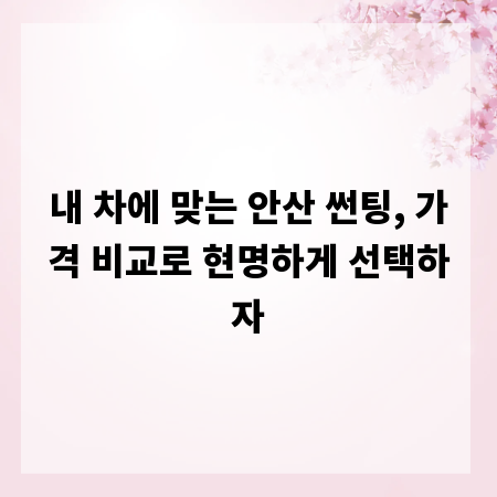 내 차에 맞는 안산 썬팅, 가격 비교로 현명하게 선택하자