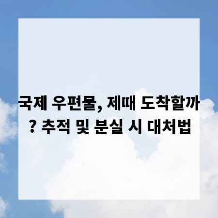 국제 우편물, 제때 도착할까? 추적 및 분실 시 대처법