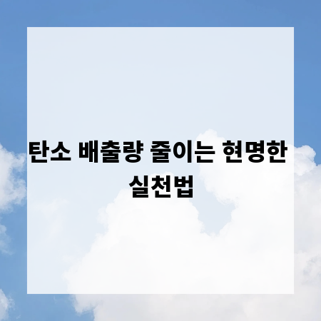 탄소 배출량 줄이는 현명한 실천법