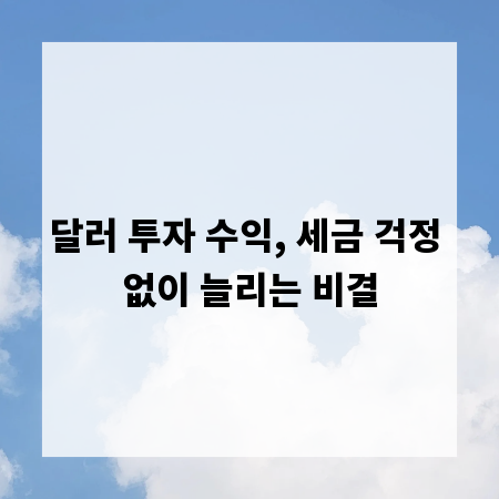 달러 투자 수익, 세금 걱정 없이 늘리는 비결