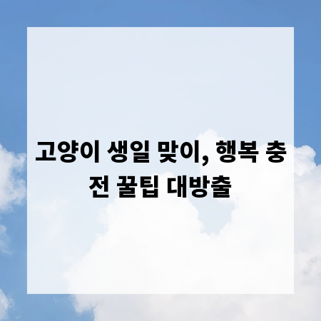 고양이 생일 맞이, 행복 충전 꿀팁 대방출