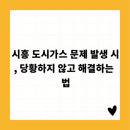 시흥 도시가스 문제 발생 시, 당황하지 않고 해결하는 법