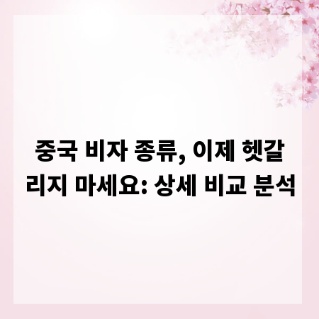 중국 비자 종류, 이제 헷갈리지 마세요: 상세 비교 분석