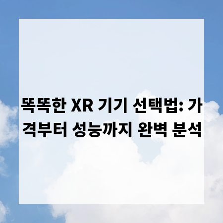 똑똑한 XR 기기 선택법: 가격부터 성능까지 완벽 분석