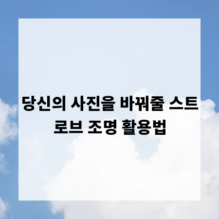 당신의 사진을 바꿔줄 스트로브 조명 활용법
