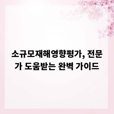 소규모재해영향평가, 전문가 도움받는 완벽 가이드