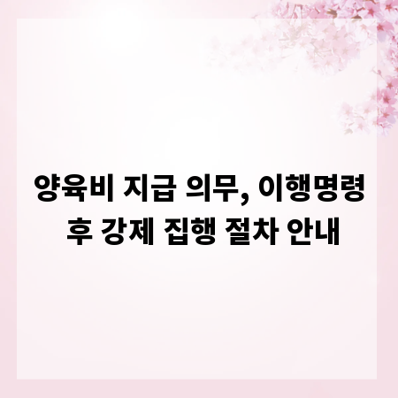 양육비 지급 의무, 이행명령 후 강제 집행 절차 안내