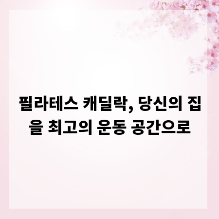 필라테스 캐딜락, 당신의 집을 최고의 운동 공간으로