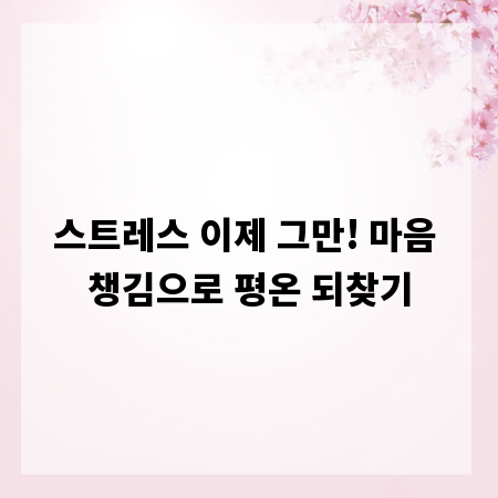 스트레스 이제 그만! 마음 챙김으로 평온 되찾기