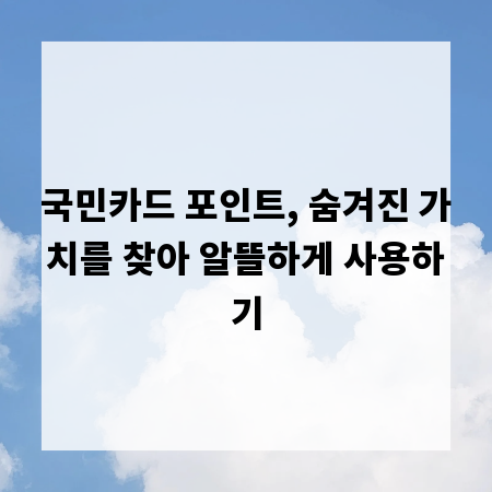 국민카드 포인트, 숨겨진 가치를 찾아 알뜰하게 사용하기