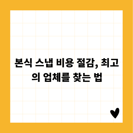본식 스냅 비용 절감, 최고의 업체를 찾는 법