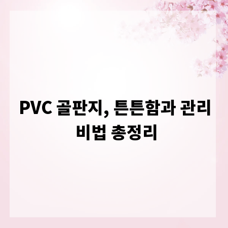 PVC 골판지, 튼튼함과 관리 비법 총정리