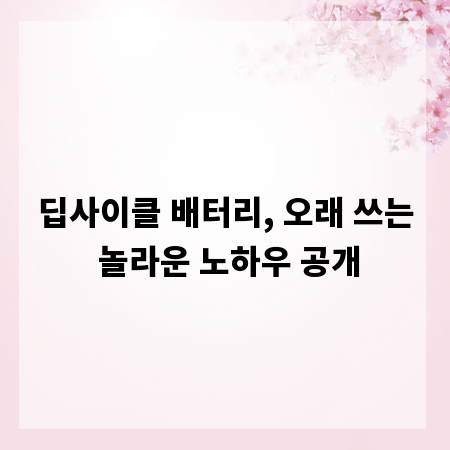 딥사이클 배터리, 오래 쓰는 놀라운 노하우 공개