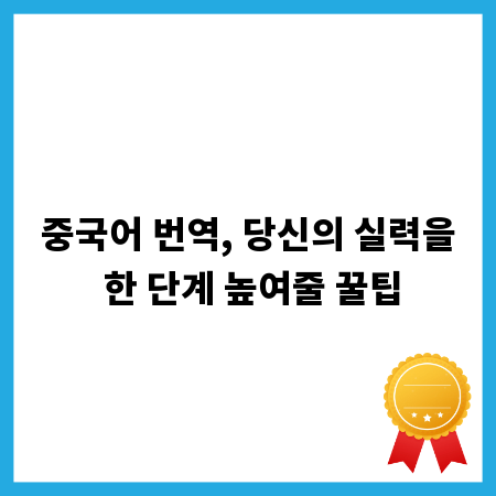 중국어 번역, 당신의 실력을 한 단계 높여줄 꿀팁