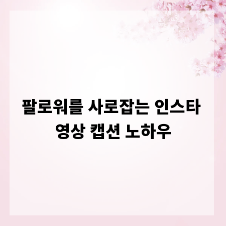 팔로워를 사로잡는 인스타 영상 캡션 노하우