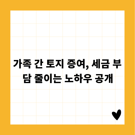 가족 간 토지 증여, 세금 부담 줄이는 노하우 공개