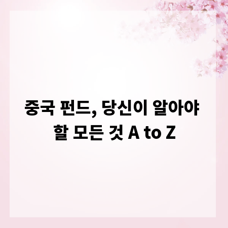 중국 펀드, 당신이 알아야 할 모든 것 A to Z