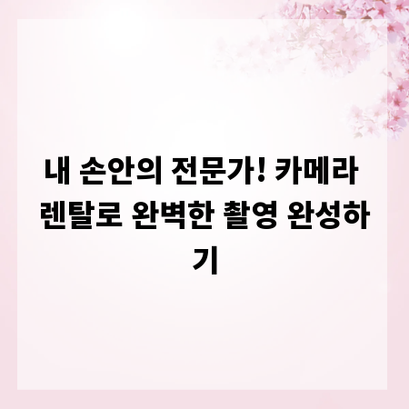 내 손안의 전문가! 카메라 렌탈로 완벽한 촬영 완성하기