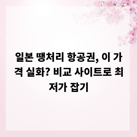 일본 땡처리 항공권, 이 가격 실화? 비교 사이트로 최저가 잡기