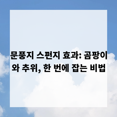 문풍지 스펀지 효과: 곰팡이와 추위, 한 번에 잡는 비법