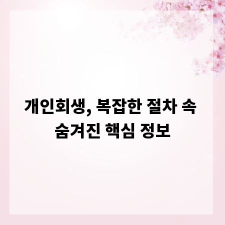 개인회생, 복잡한 절차 속 숨겨진 핵심 정보