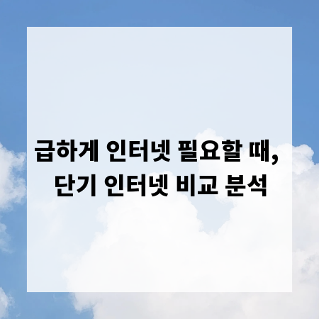 급하게 인터넷 필요할 때, 단기 인터넷 비교 분석