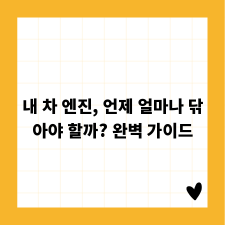 내 차 엔진, 언제 얼마나 닦아야 할까? 완벽 가이드