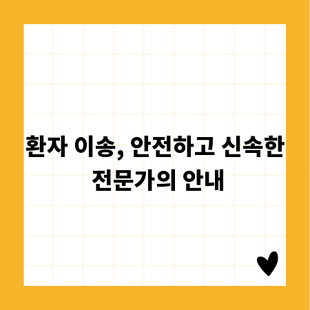 환자 이송, 안전하고 신속한 전문가의 안내