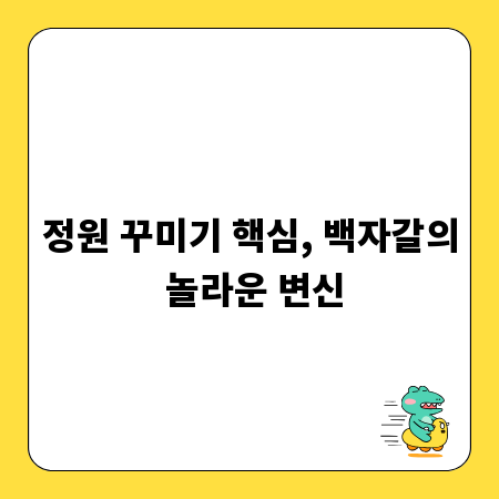 정원 꾸미기 핵심, 백자갈의 놀라운 변신