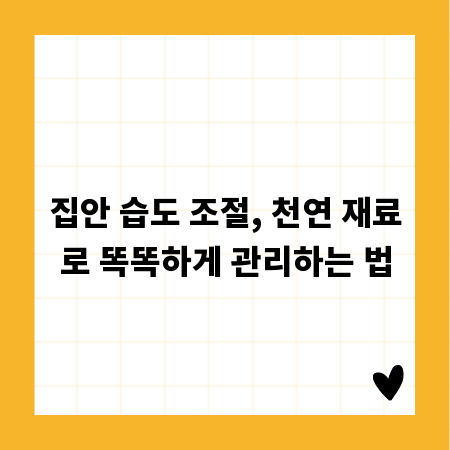 집안 습도 조절, 천연 재료로 똑똑하게 관리하는 법