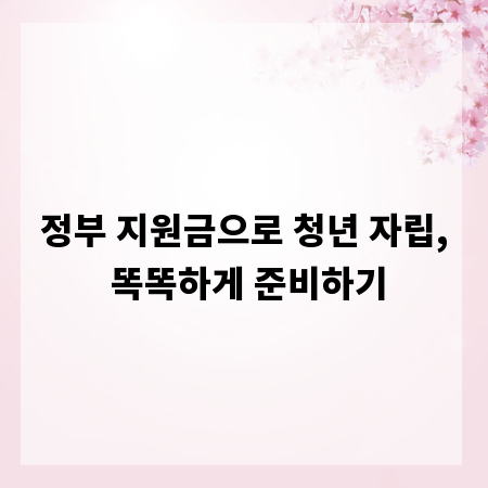 정부 지원금으로 청년 자립, 똑똑하게 준비하기
