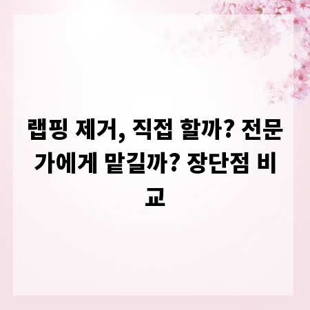 랩핑 제거, 직접 할까? 전문가에게 맡길까? 장단점 비교