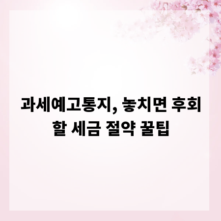 과세예고통지, 놓치면 후회할 세금 절약 꿀팁