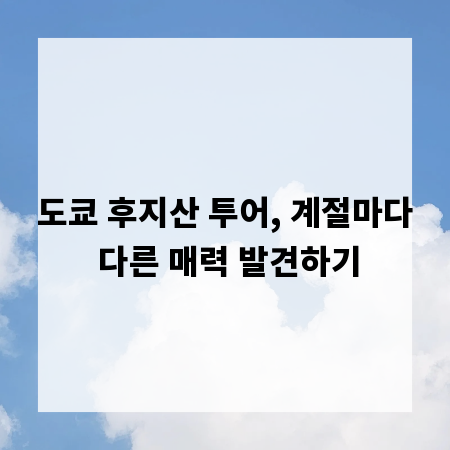 도쿄 후지산 투어, 계절마다 다른 매력 발견하기