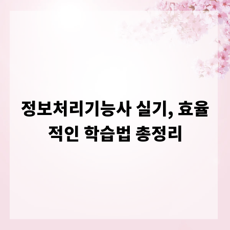 정보처리기능사 실기, 효율적인 학습법 총정리