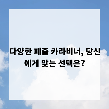 다양한 페츨 카라비너, 당신에게 맞는 선택은?