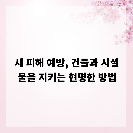 새 피해 예방, 건물과 시설물을 지키는 현명한 방법
