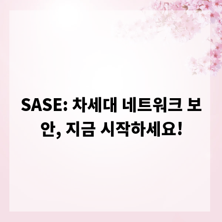 SASE: 차세대 네트워크 보안, 지금 시작하세요!