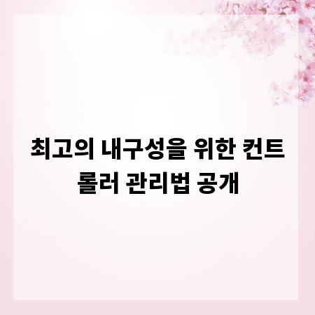 최고의 내구성을 위한 컨트롤러 관리법 공개