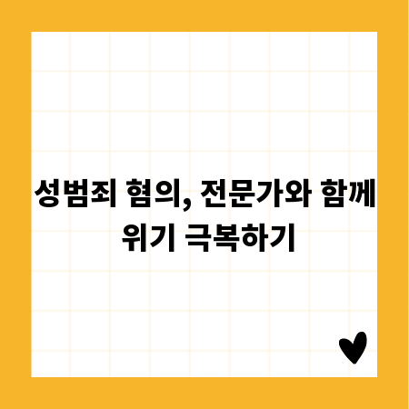 성범죄 혐의, 전문가와 함께 위기 극복하기