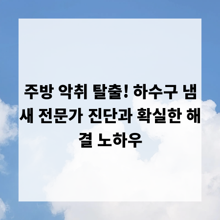 주방 악취 탈출! 하수구 냄새 전문가 진단과 확실한 해결 노하우
