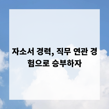 자소서 경력, 직무 연관 경험으로 승부하자